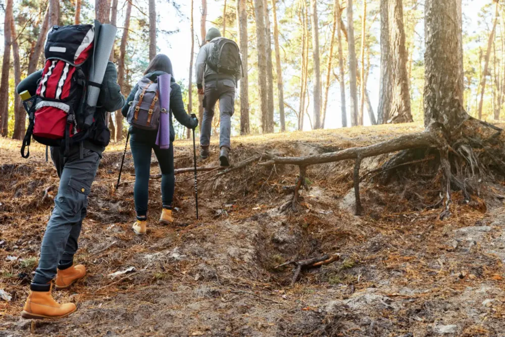 The Benefits of Hiking for Menopausal Women