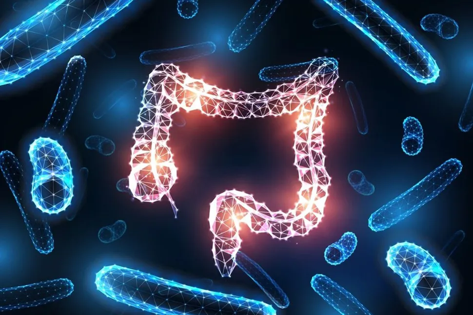 7 Signs Your Estrobolome is Unhealthy