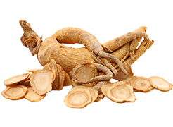 A ginseng root, displayed whole and sliced, rests on a white background. Several thin, pale brown slices surround the main root.